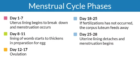 Track Menstrual Cycle